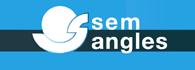 SEM ANGLES